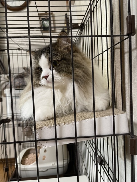 EDF8956D-98BE-4DE9-A701-7CBEA704B29C