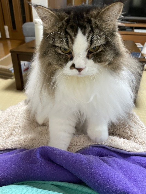 27D132EE-C778-4A79-A1F1-881C8D676DE5