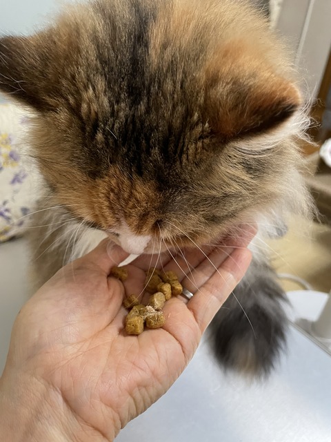 83D29B0D-4827-4972-B2C8-3D110143274B