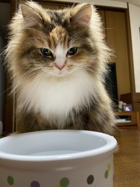 CC220637-64B5-49B7-9848-71249C76993D