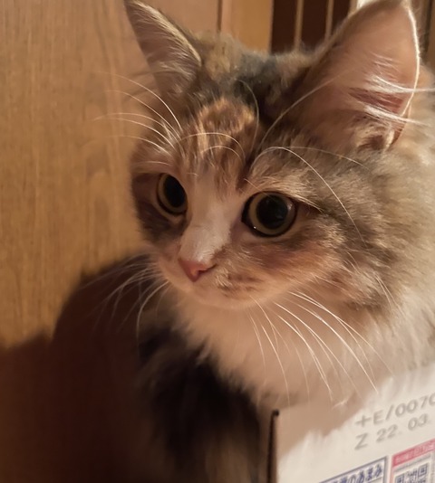 8175048E-9E27-4365-9A65-BEF4967E79E2