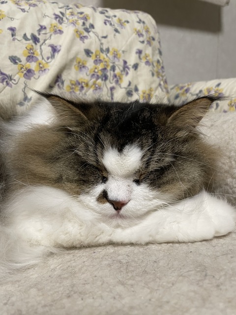 36824463-EFF4-47B6-AF53-4D17751E3118