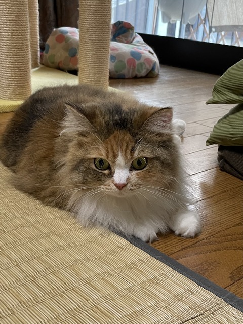 729E7738-9027-4D0D-A775-1C1B80A09B8B