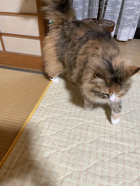 10D57A75-6B0B-41C6-9EF9-56D44A8F6D34