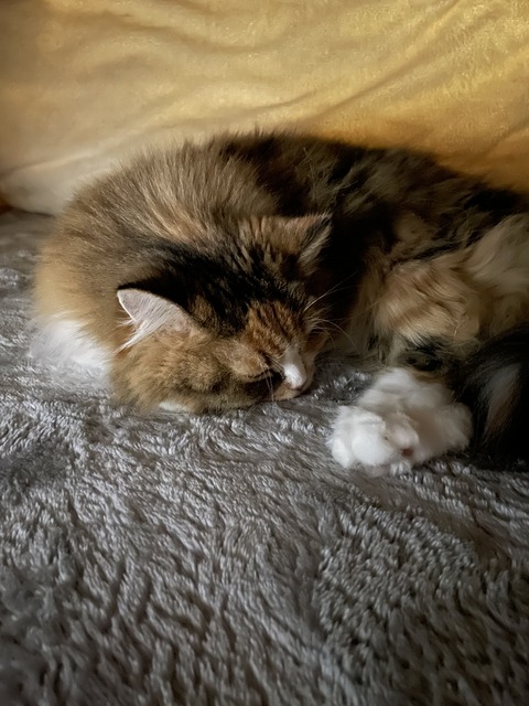 5556B336-B6C1-4D8F-9ED8-B4CC329322B6