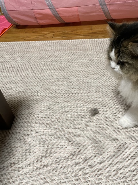 A3C0AB96-42C0-4356-B22A-A699793B7853