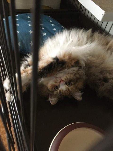 A12215ED-FDDA-41F8-B5F6-E7762EE6479C