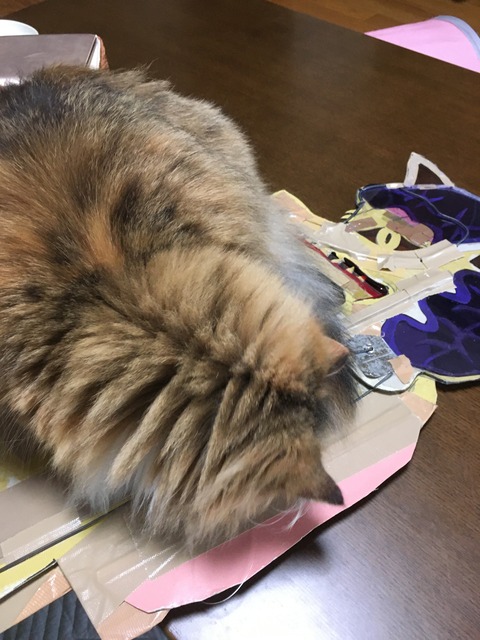 A8C2F0BD-6837-49F3-AC85-6F20D1CA7F4C