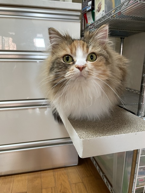 405A317C-87DF-4658-A0C6-101DB71D6F6A