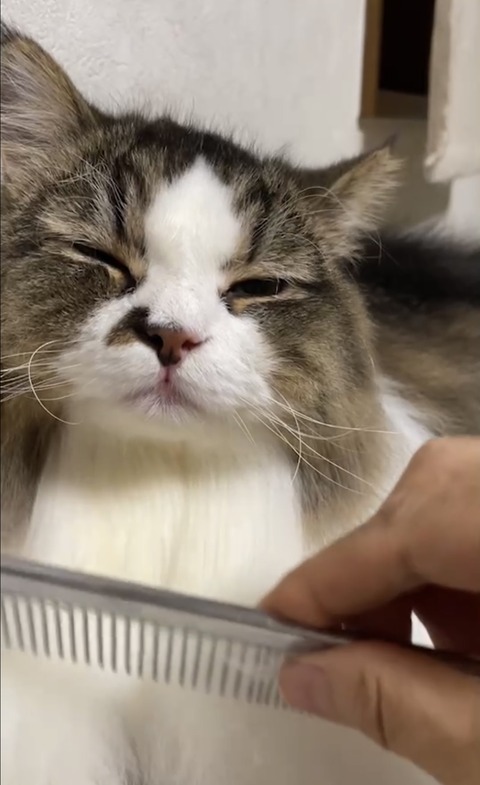 38F9C5BB-8FC3-4D5C-BB73-4F29D9D8BDAA