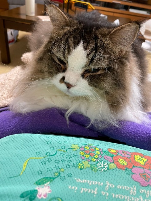 A7DC97D0-AB87-4A06-9DE6-2297B4D9913B