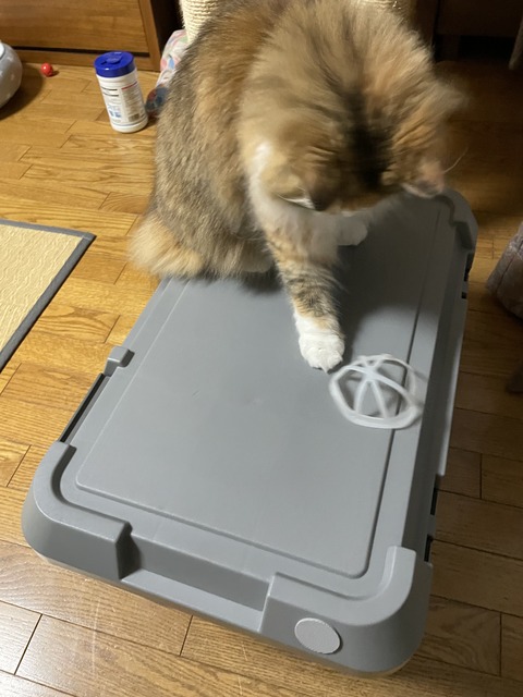 9AB5EE94-C807-46EC-9B6D-BA2BE2B616AB