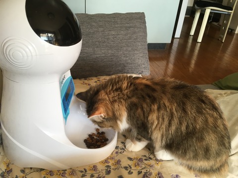 605F4B10-D0F6-4BC5-A2A1-80CDA1510C48