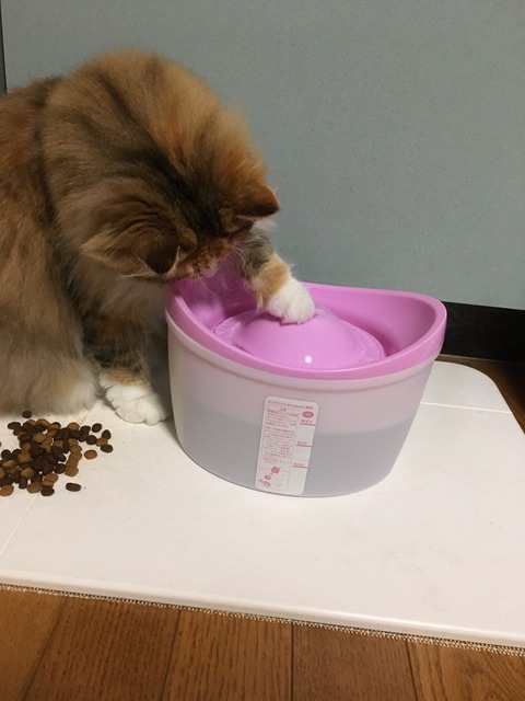 6AF7B83C-1950-4970-9375-2586EF3C6074