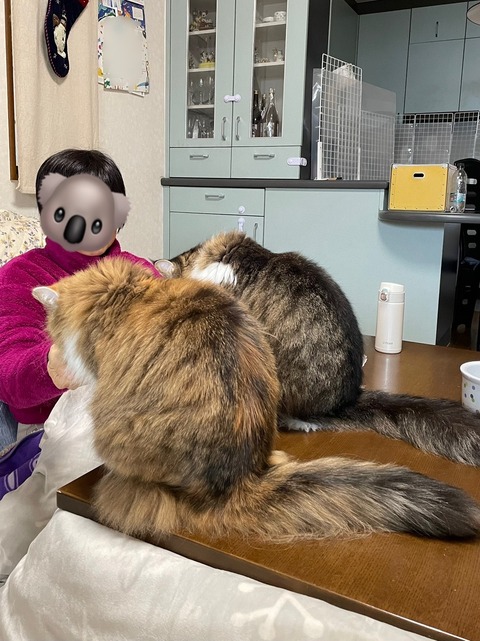 3E4777B9-F953-4B1E-83BC-C07AB88EF014