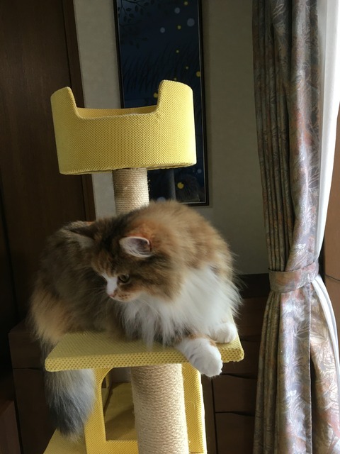 47BBA191-BE8E-4E4F-BE2F-38055BCF4310