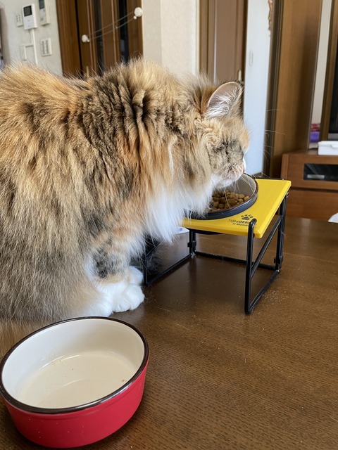 2CF160A7-E89F-419B-9FD4-FFC8733A45C5