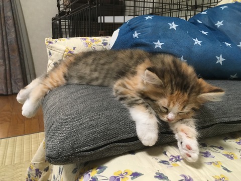 57AE1505-7814-4C0F-BD9B-EAFDEC4F8851