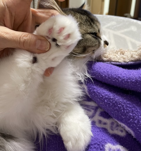 77EB7C08-EB39-4493-B2C3-D2F89D256F27