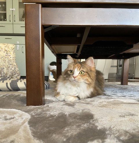 D36013D1-FD7C-4882-967E-0BCBC2BE1F61