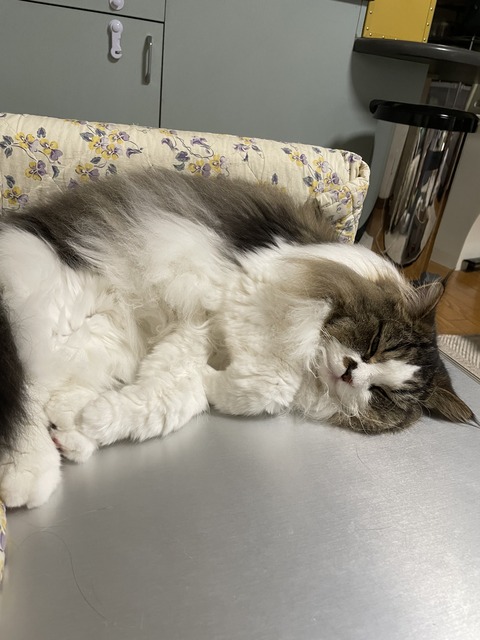 6EF9CEC6-A8E4-47D6-98CA-9B82BCBF8ACB