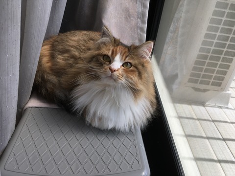 6934C3AA-0CF3-49B8-B53A-3B0FD2F1FB6B