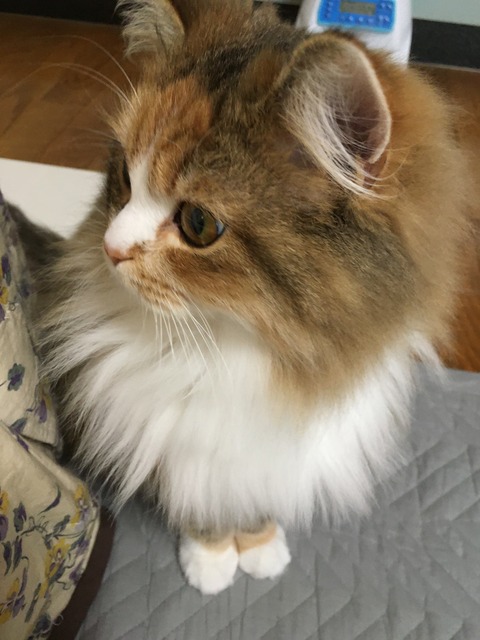 B4823694-D3C7-45D8-B20D-3DD56DFF23F7