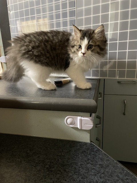 F2B04B9E-8697-40A2-8311-FAED85EECA59