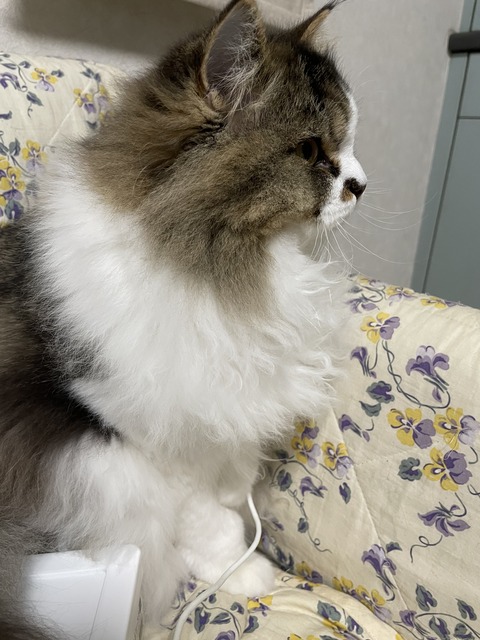 2F032C12-982B-4B3A-9C41-0BB6E8915DFC