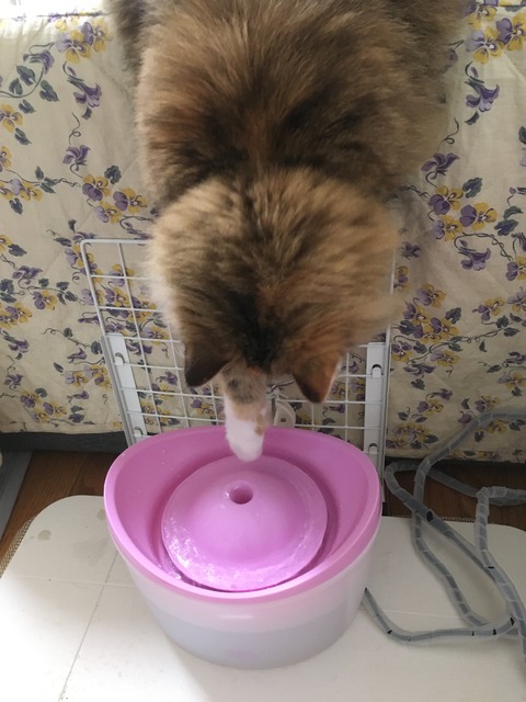 824142CA-8C90-4E08-A75B-92A5BFB9DE55