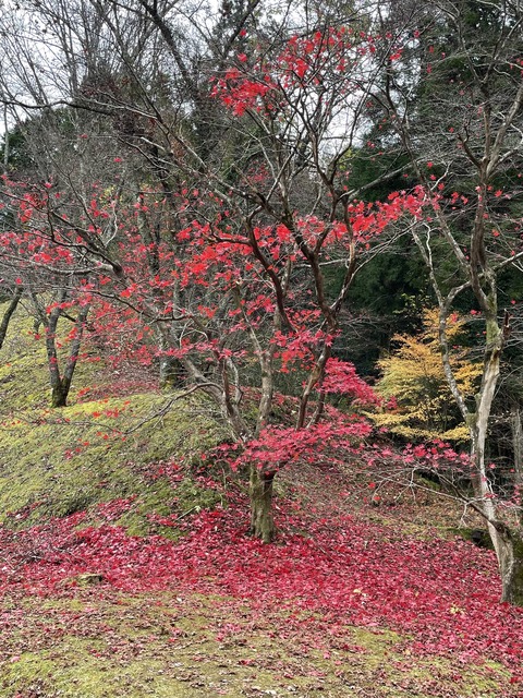 06BE8C69-4EC5-4561-9661-DF278B5BC937