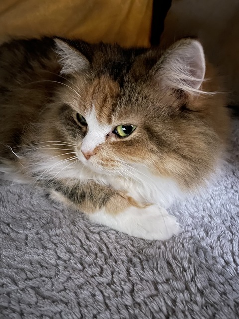 2DD38BE5-D53F-4C13-BE58-14806E5A7912