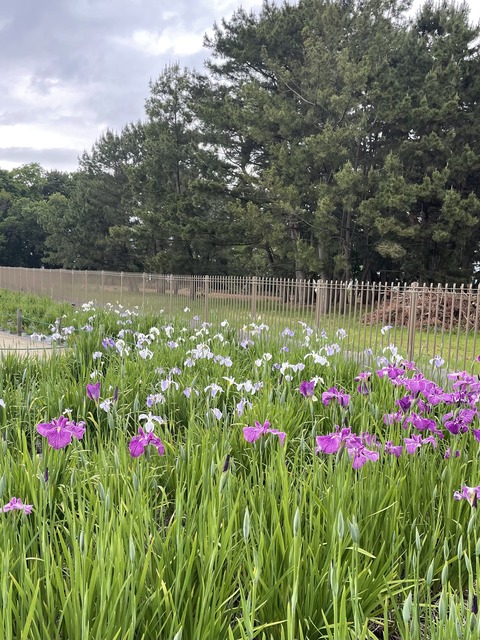 C75F9045-9944-4FE7-BE50-EC3085AC6D49