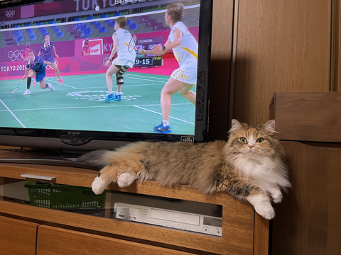 AA060B6D-A1AC-4C8B-9509-B3B33ADE215E