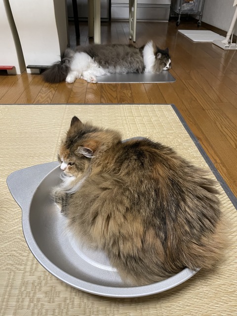 C783890F-46E8-434B-82B2-8579C6E86A07