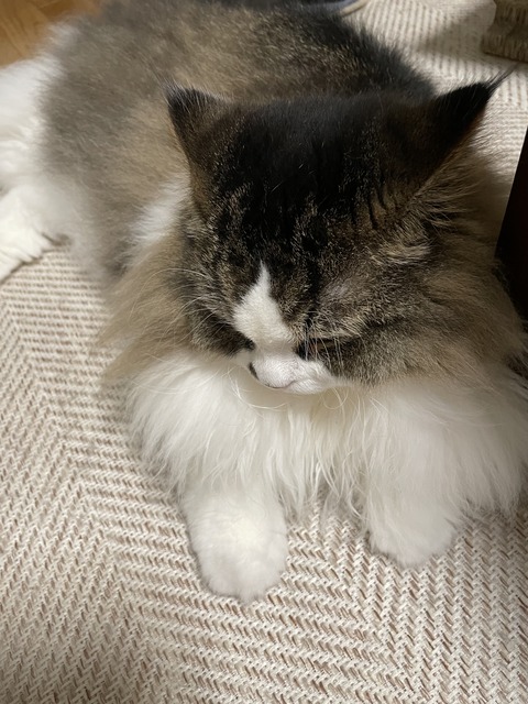 F97711EB-E8B3-4040-9FD4-3A58112C949B