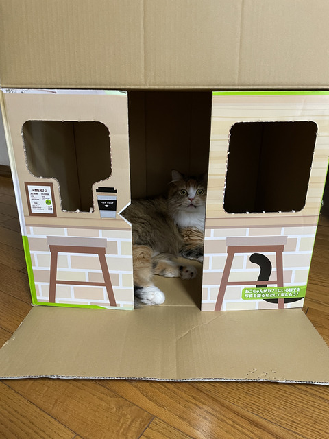 48748FD2-9954-48FE-8B75-B0F6B36FC100