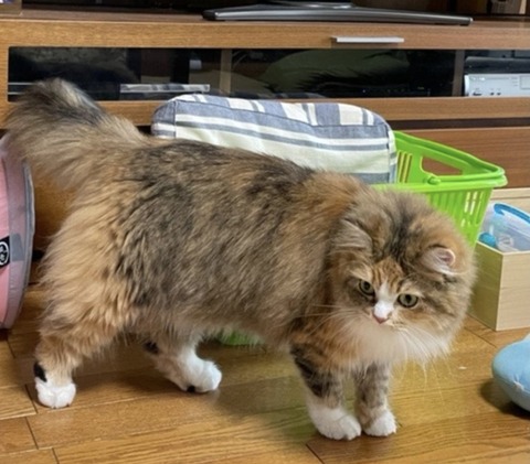 1A8739AF-8598-42D4-8E2F-75F16038D196