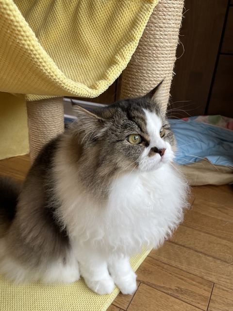 089AD494-03E3-48E8-B68C-851FAE115EEA