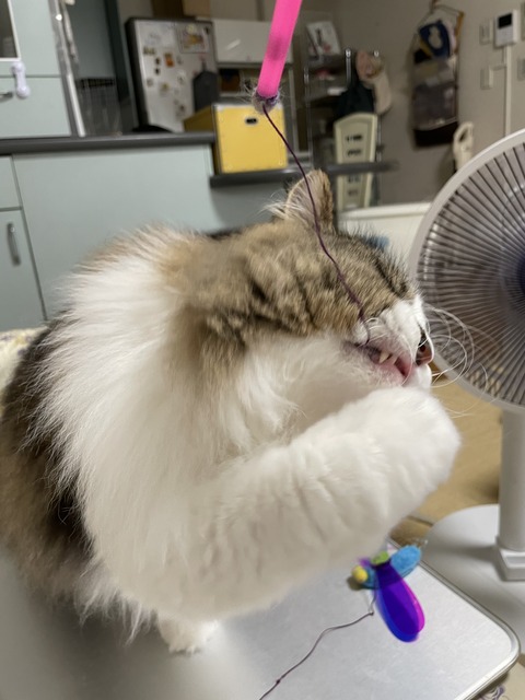 91CC1648-4B79-4B17-AC71-4A470A67EEFA