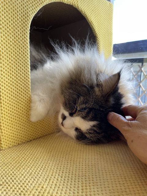 BE7A5B1B-D495-4CF4-BC96-DFD33325766A