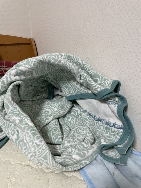 067916B7-688C-4B6D-83F7-A8C466B7A0D4