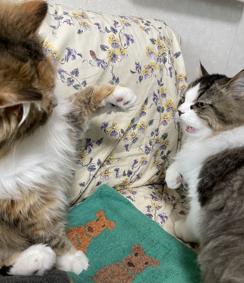 B8DC45EB-A419-4471-9F2E-26F09C37106A