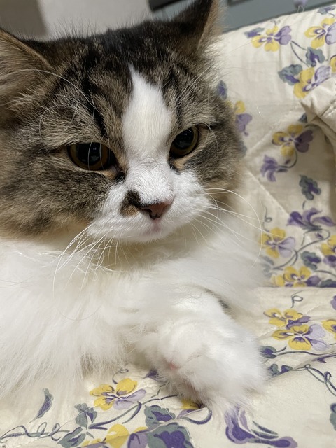 B7381A4F-9EDD-4D0F-8EB7-7C7A70292919