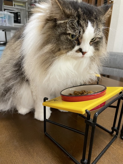 EDECB804-C061-46BD-8739-1E0A0F3B7496