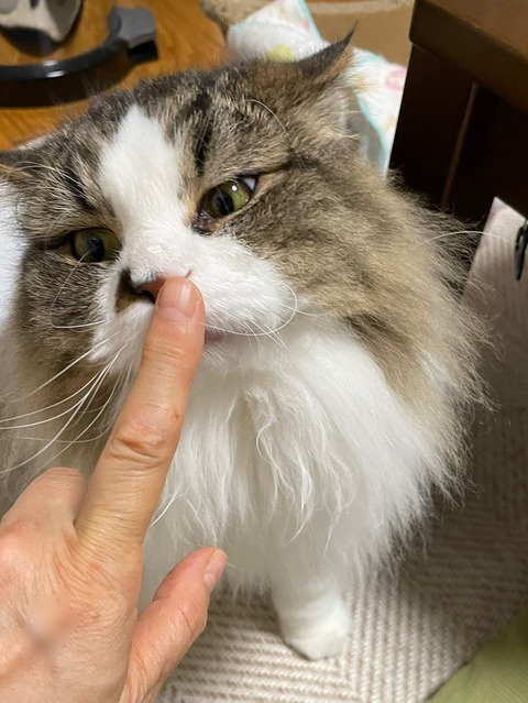 65FD07C7-E9B0-4CCE-9031-745857832751