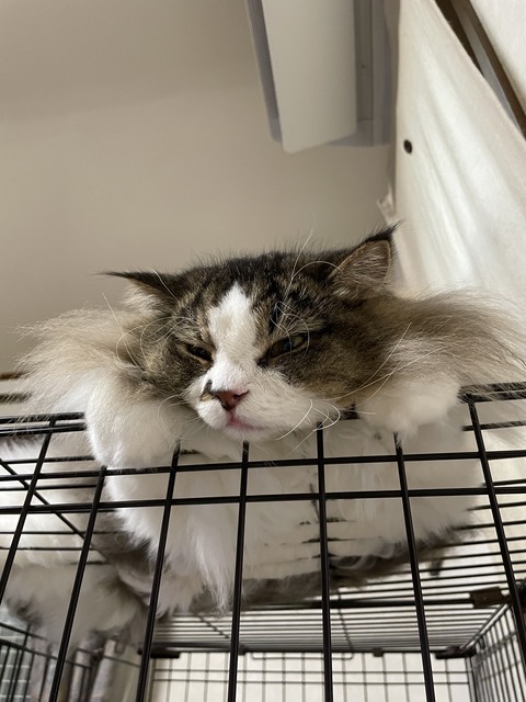 02001B3C-FF80-4682-ABA1-EBF2CAD3300D