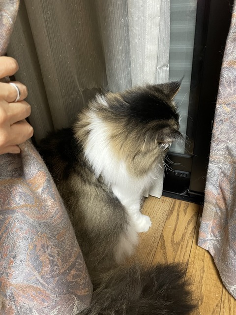 75140DBD-1DBB-4F5C-9B14-D836FF710A41