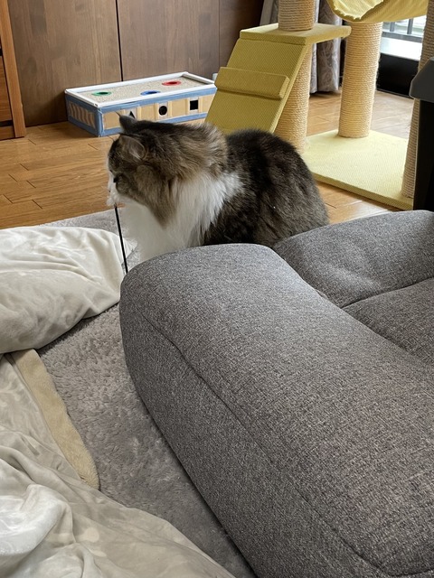 F7D42C4B-AA0B-4E01-B9B0-90ED8E5A9552