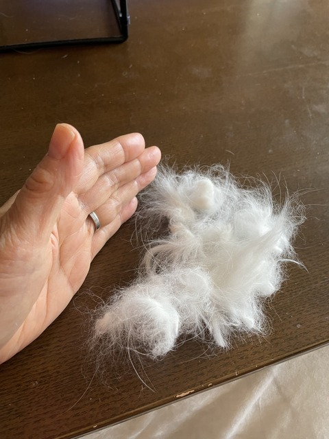 E418A936-EA3D-44B8-9073-9C2B47A5136F